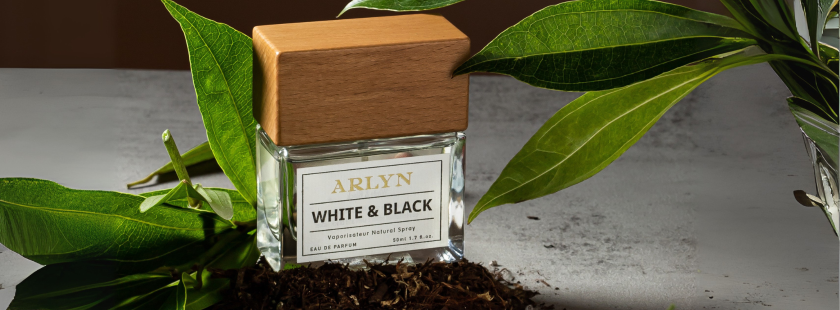 This $40 Dupe Smells Just Like YSL Y – Meet ARLYN’s White & Black